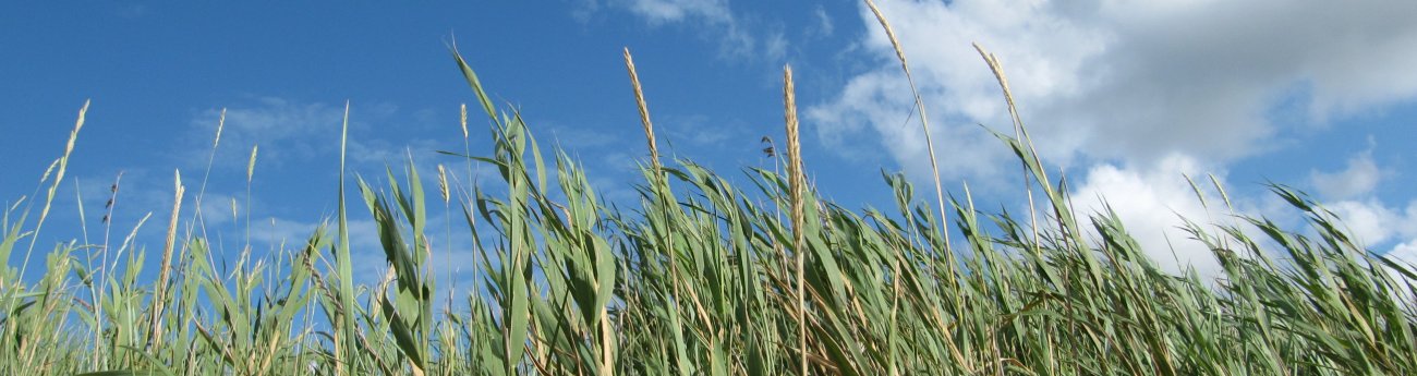 leben-und-glauben.de